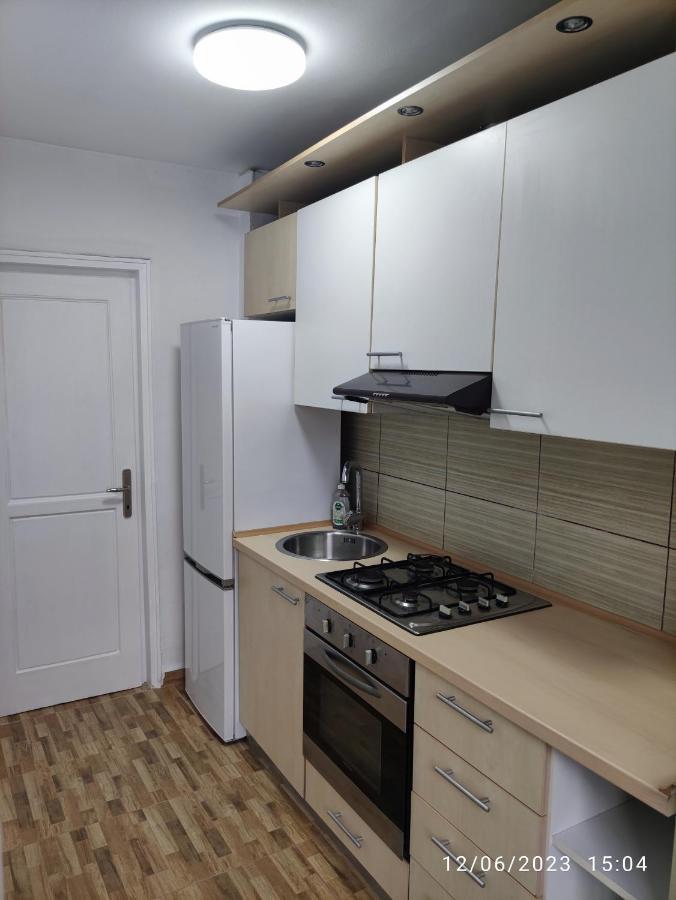 בוקרשט Fabian Central Apartment מראה חיצוני תמונה